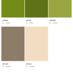 Northern Color Palettes for Graphic & Web Design Color palette featuring various shades of green, brown, and beige, ideal for Michigan web design projects that emphasize nature-inspired aesthetics and modern visual appeal.