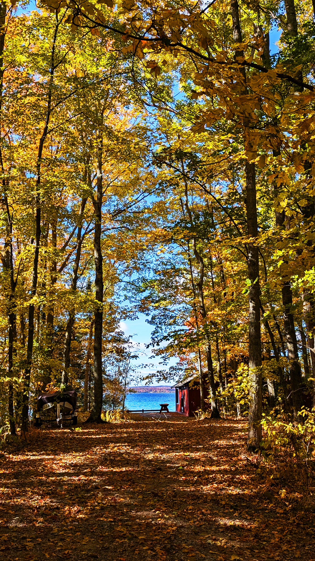 Free Michigan Nature Wallpaper – West Bay in Traverse City (iPhone & Android Ready) | Traverse City Web Design