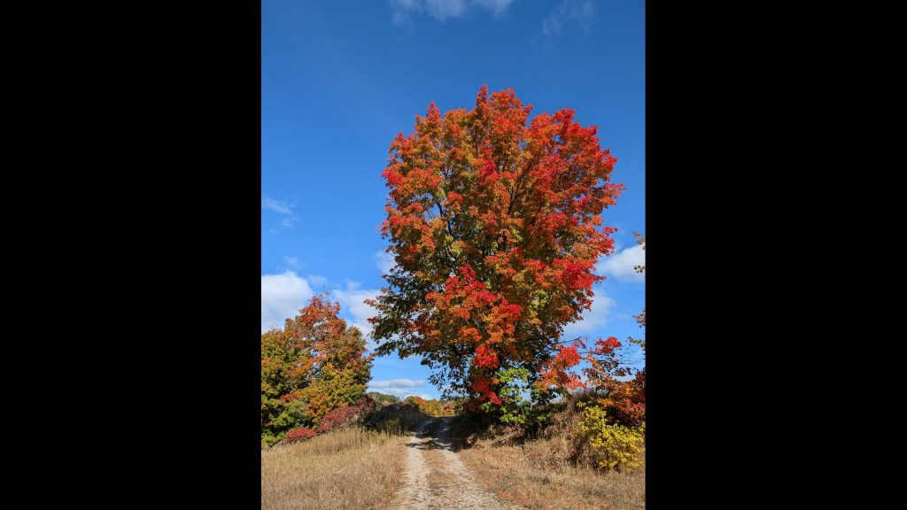 Free Northern Michigan Wallpapers for Your Phone, Desktop, and Laptop Free Northern Michigan Wallpapers for Your Phone, Desktop, and Laptop | Traverse City Web Design