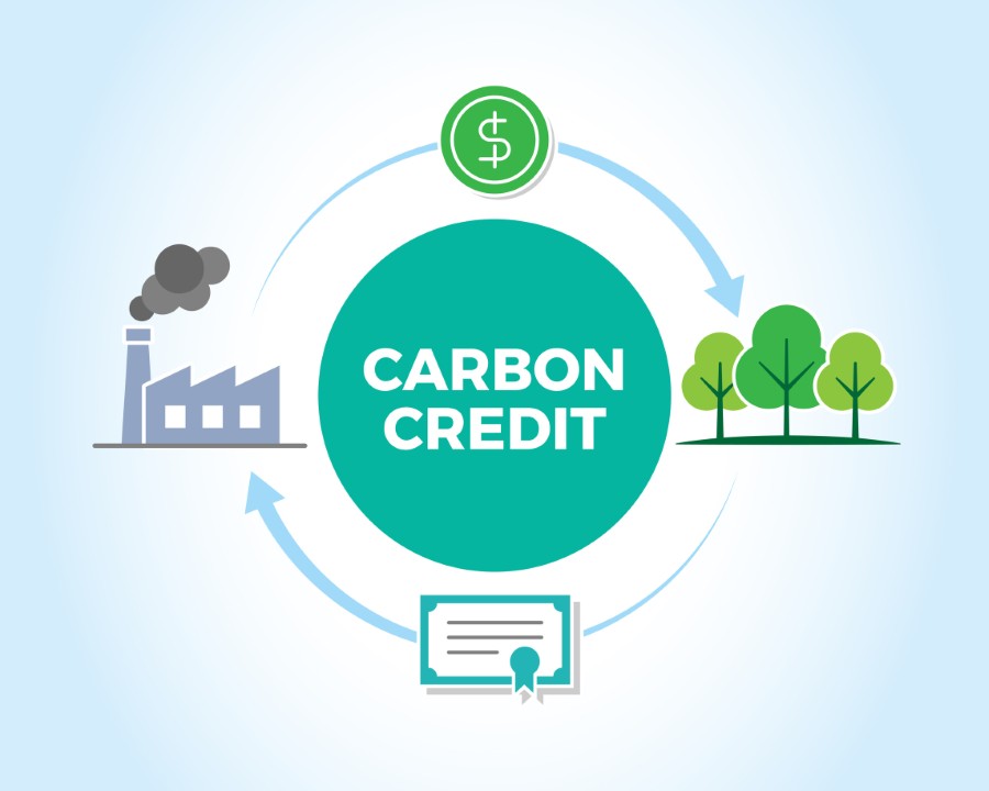 Carbon Credits for Small Businesses: A Pragmatic Guide to Buying Carbon Offsets Carbon Credits for Small Businesses: A Pragmatic Guide to Buying Carbon Offsets | Traverse City Web Design