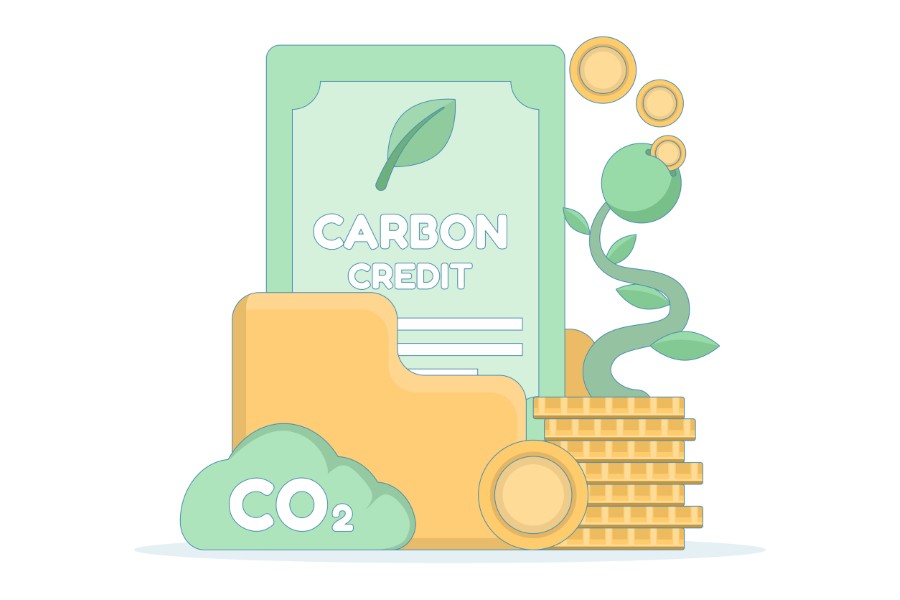 Carbon Credits for Small Businesses: A Pragmatic Guide to Buying Carbon Offsets Carbon Credits for Small Businesses: A Pragmatic Guide to Buying Carbon Offsets | Traverse City Web Design